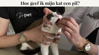 Hoe geef ik mijn kat een pil? | Instructievideo