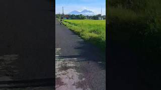 Pemandangan alam pagi hari sawah & gunung #shortvideo #dennycaknan #langgengdayaningrasa #ldr #fyp