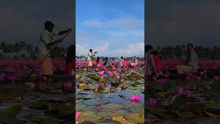 Malarikkal Sunset View Point||Kerala||Beautiful  Nazara 🥰❤️