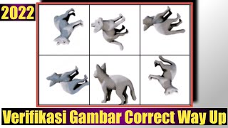 Cara Verifikasi Gambar Correct Way Up Kucing | 100% Fix