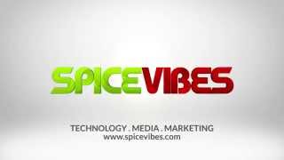 SpiceVibes