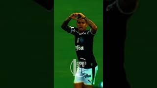 DUDU STATUS PALMEIRAS DE VOLTA AO LAR (lomotifeSports)💚🐷