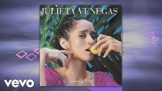 Julieta Venegas - No Seré ((Cover Audio) (Video))