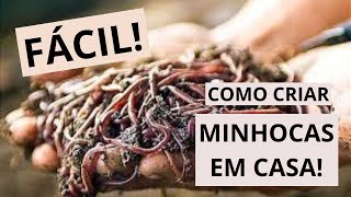 Criação de MINHOCAS em casa! TENHA E PESQUE SEMPRE!