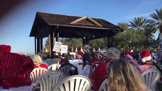 100+ Ukuleles at Lake Sumter, The Villages, Florida