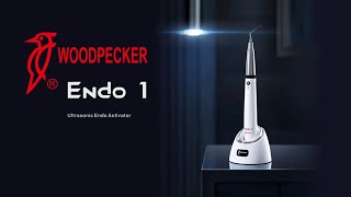 Woodpecker Ultrasonic Endo Activator Device 𝐄𝐧𝐝𝐨 1 - Woodpecker Endo 1 Endo Aktivatör