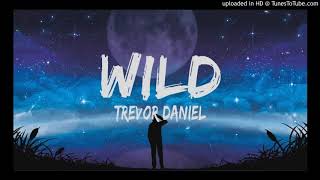 Trevor Daniel ~ Wild Instrumental