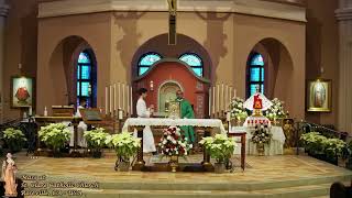 Sunday Vigil mass for 4th Sunday in Ordinary Time (2023)  - Recorded and posted after the fact