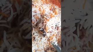 Biryani #sindhibiryanirecipe #foryou #fyp #fypシ゚viral #viralvideo #food #indianfood #pakistanidish