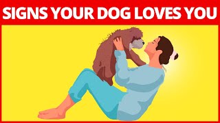 10 Signs Your Dog Loves You