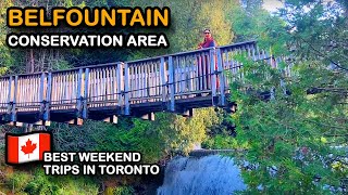 BELFOUNTAIN CONSERVATION AREA 🇨🇦 Best Places To Visit Near Toronto, Brampton, and Mississauga 2023..