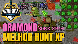 RUBINOT - MELHOR HUNT ORAMOND (30KK XP/H) 150+