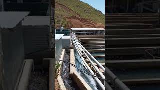 نمایی از مزرعه پرورش ماهی View of the fish farm