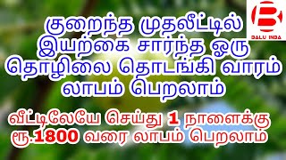 தினமும் ரூ.1800 லாபம் தரும் தொழில்/ Business ideas in tamil, tamil Business ideas, Balu INBA