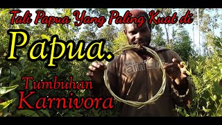 Tali Hutan Papua Yang biasanya di ikat rumah tinggi.