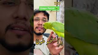 Green Parrot hara mithuuuu information