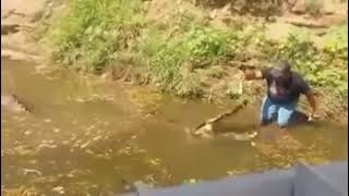 hombre se mete a un lago y alimenta a un cocodrilo 🐊 mira lo que pasa😱