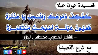 قصيدة عيون عبلة | من أروع ما قُدّم في مسابقة أمير الشعراء | للشاعر المصري مصطفى الجزار