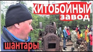 Китобойный промысел. Какой он был? \  Остров Большой Шантар \ Охотское море #4