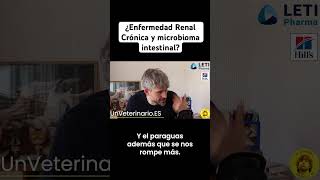 Sobre enfermedad renal crónica y microbioma intestinal