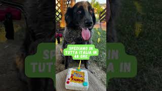 Torte Per Cani Personalizzabili by Dogg Star