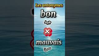 تعلم الفرنسية.. كلمات وأضدادها بالفرنسية Les antonymes en français #تعلم #french #shorts #france