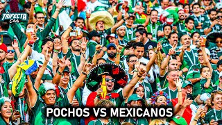 POCHOS VS MEXICANOS, una de las razones de por qué MÉXICO anda mal.