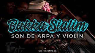 SON DE ARPA Y VIOLIN - BAKKA SIALIM