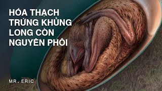 Phôi khủng long được bảo quản tuyệt vời được tìm thấy bên trong quả trứng hóa thạch