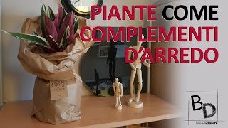 PIANTE come COMPLEMENTI D'ARREDO | Belula Design