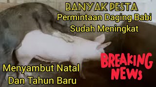 Permintaan Daging Babi Sudah Meningkat Karena Banyak Pesta Ataupun Menyambut Natal Dan Tahun Baru