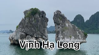 Trải nghiệm thăm quan Vịnh Hạ Long