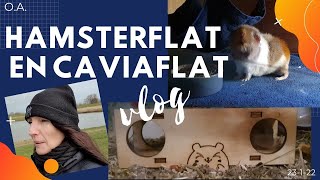 Hamsterflat en caviaflat   vlog 274/ zo 23-1-22