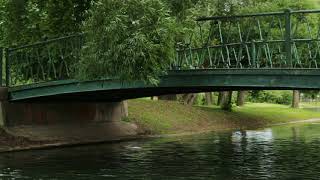 Hinged bridge River tree summer