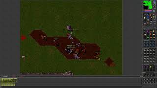 Tibia 7.6 (51 Master Sorcerer hunts down 54 Royal Paladin)