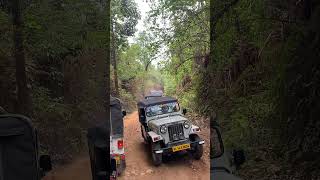 Offroad Ride in Wayanad #shorts #jeepride #offrode