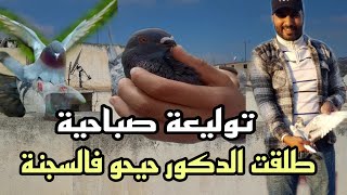 توليعة صباحية واعرة 😍 طلقت الدكور حيحو فالسجنة 🤯وشكرا على تعاليقكم الجميلة 🙏🙏