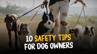 10 Safety Tips For Dog Owners | Must Watch For Every Dog Owner