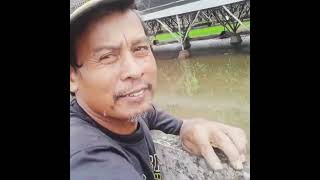 mancing ikan di bawah kandang ayam sehabis hujan