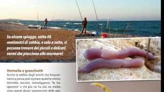 Alcune pagine di SurfCasting di luglio