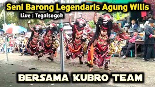 Aksi Seru Kubro Team di Jaranan Agung Wilis live Tegalsogok Bangorejo