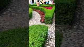 Rose Garden | Ba Na Hills #shorts #short #ytshorts #youtubeshorts #garden #nature #viral #viralvideo