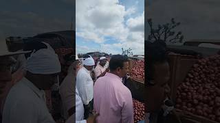 Nashik Onion - 4300/- 11/09/2024 -: Live Onion Auction