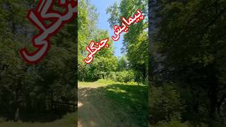 پیمایش جنگلی خفن به سمت یه آبشار خفن #سابسکرایب_یادتون_نره