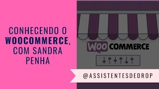 Plataforma de Ecommerce - WooCommerce, com Sandra Penha 💡