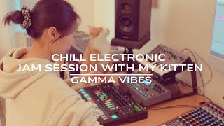 Gamma Vibes - Chill Electronic Live Jam Session with my kitten