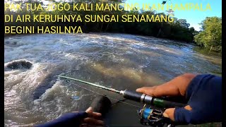 PAK TUA JOGO KALI MANCING IKAN HAMPALA DI AIR KEEUHNYA SUNGAI SENAMANG LIHAT HASILNYA