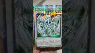 Yu-Gi-Oh Stardust Dragon Quarter Century Rare #yugioh #yugiohtcg #duellinks #masterduel #yugioh5ds