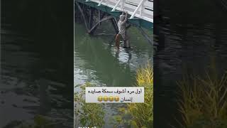 أول مره اشوف سمكه صايده انسان