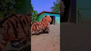 #SHORTS Macan Macanan Khas Madura SINGO RAUNG